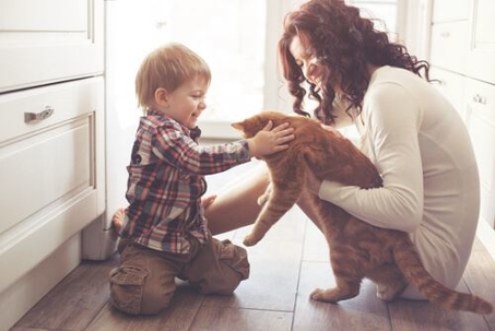 Mother and young child playing with orange tabby cat